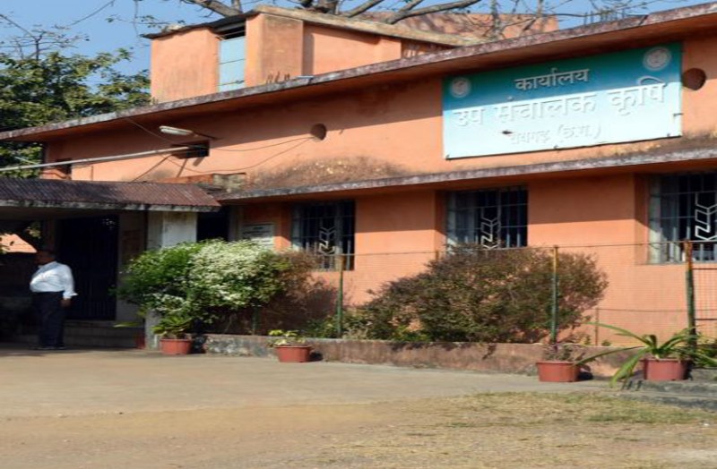 कृषि विभाग नहीं कर पा रहा अन्य फसलों के लिए किसानों को प्रोत्साहित