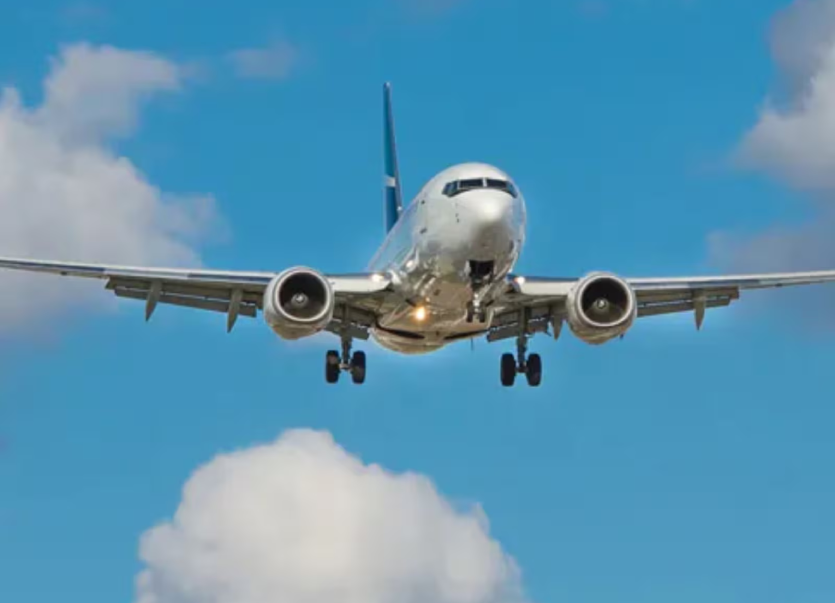 flight