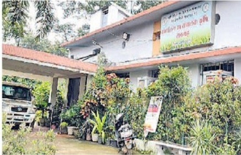 Agriculture Department is not able to encourage farmers for other crop