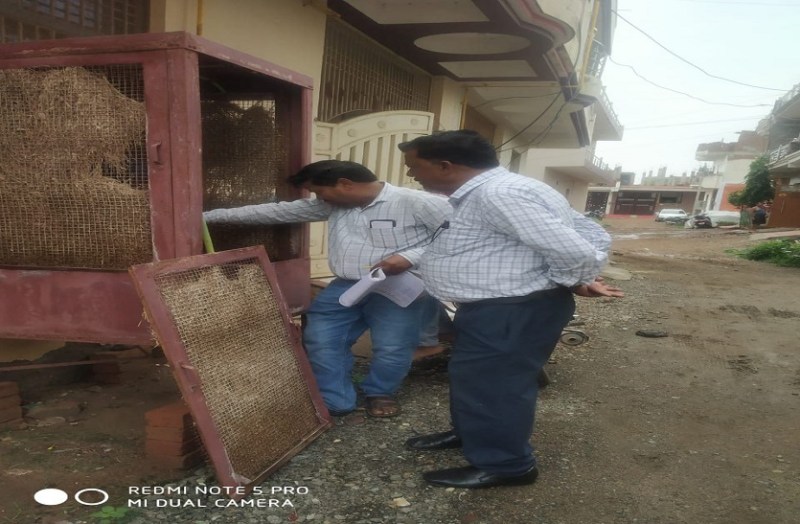 पिछले साल से तीन गुना ज्यादा हुए सैंपल, पॉजीटिव भी हुए डबल