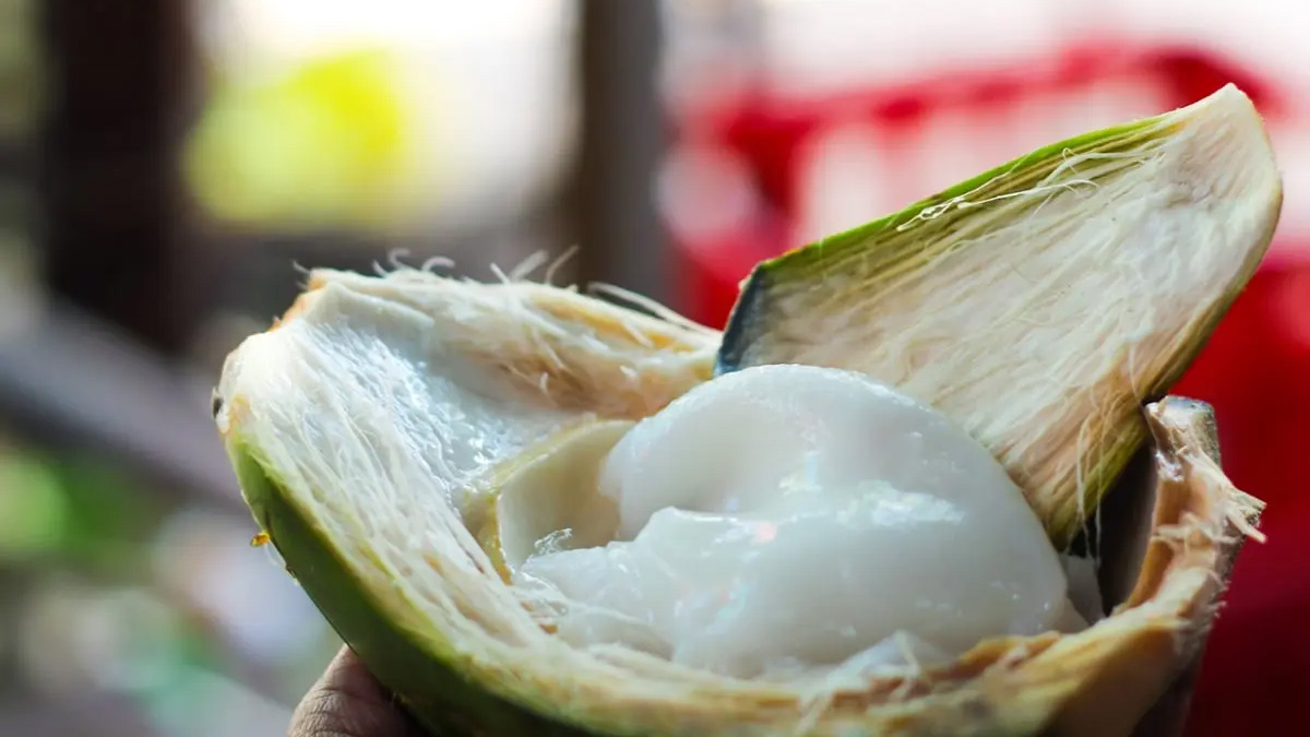 coconut-malai-benefits.jpg