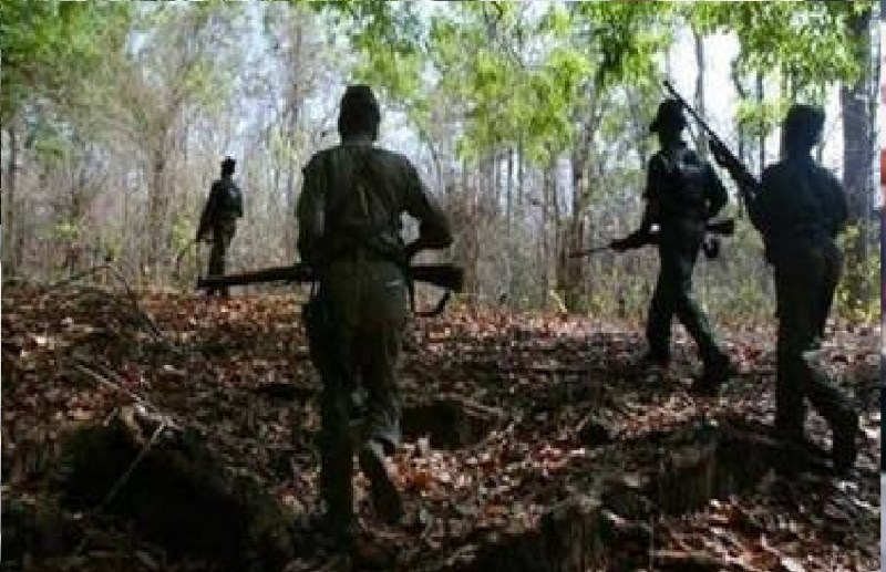 नक्सलियों के मंसूबों पर फिरा पानी, फोर्स को उड़ाने दबा कर रखे बारूद बरामद