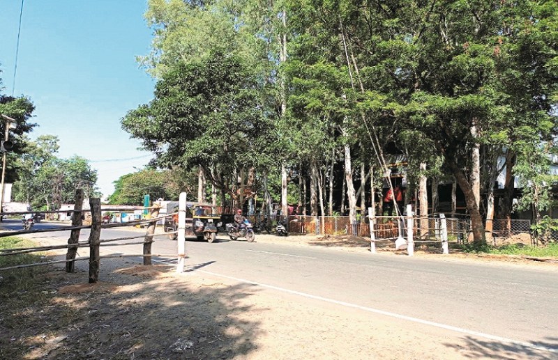 CG Election 2023: Nomination process will start in Korea from today