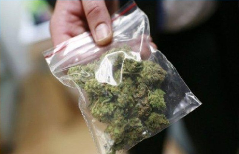 नशे के कारोबारियों पर चला पुलिस का डंडा, गोली-गांजा बेचने वाले पकड़े गए