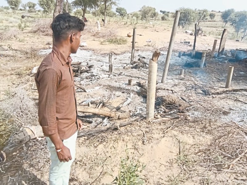 Bikaner : ढाणी में आग से 14 बकरियां जिंदा जली