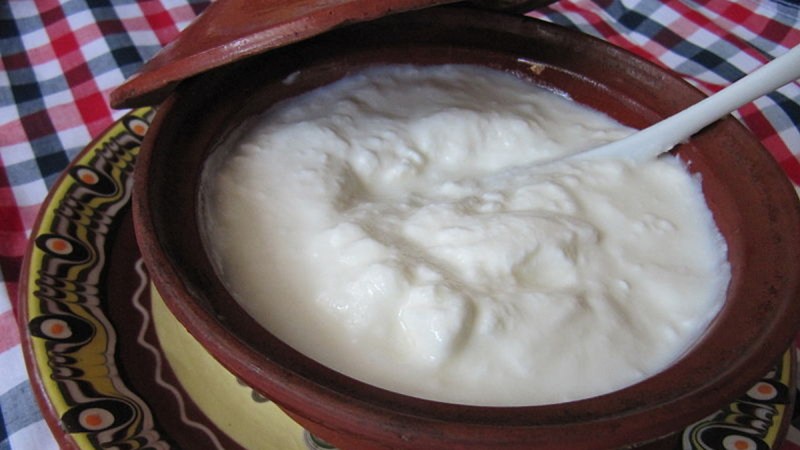 curd-health-benefits.jpg