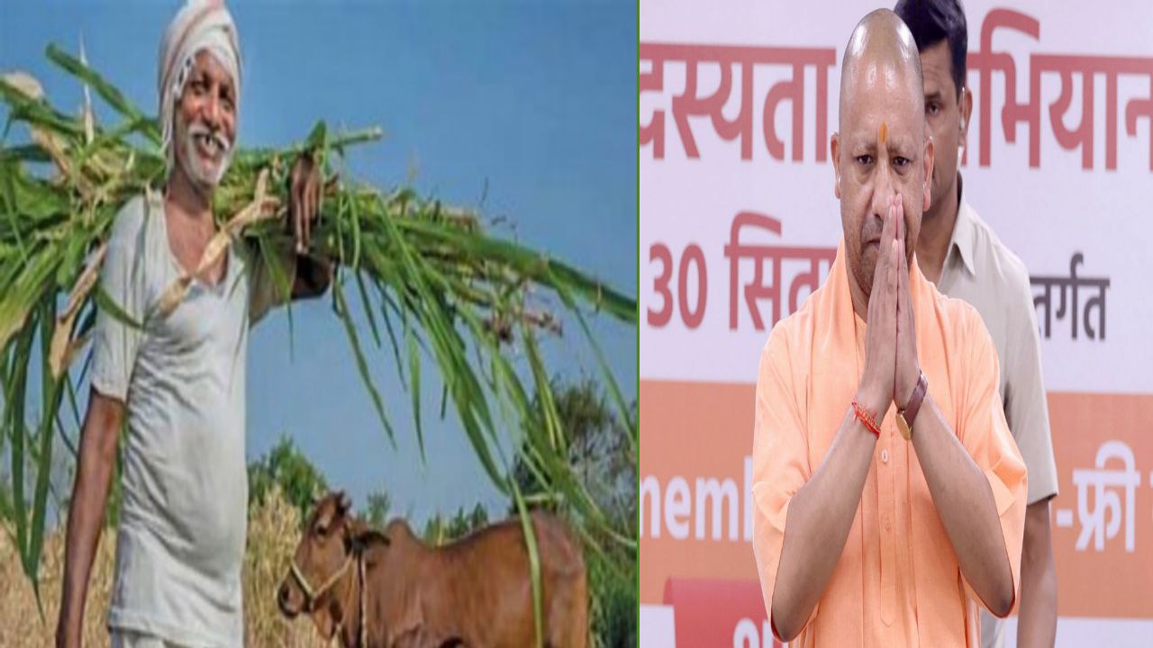 296400 मीट्रिक टन उड़द खरीद का लक्ष्य