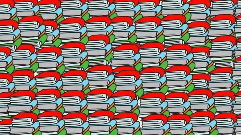 optical_illusion_hidden_pencil_among_books.jpg