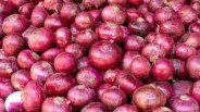 Now onion prices have increased