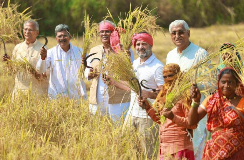 rahul_gandhi_in_farm.jpg