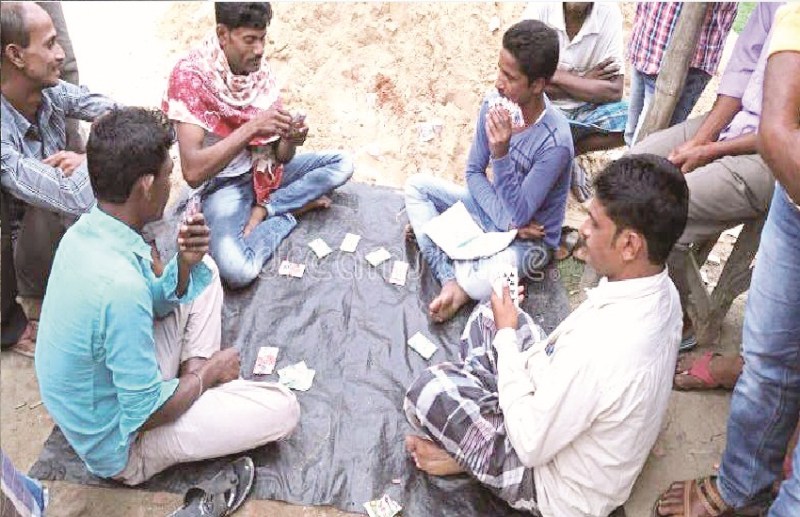 CG News: कई होटल-ढाबा और जंगल में बडे़ पैमाने पर चल रहा जुआ