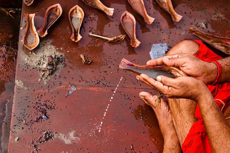 shradh paksha tarpan panch bali 2024