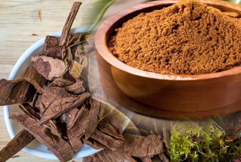 arjun ki chaal ke fayde