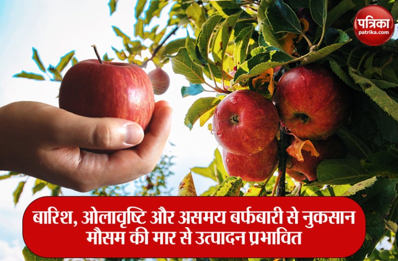 आखिर बम्पर में क्यों नहीं हुआ एप्पल, जानिए...