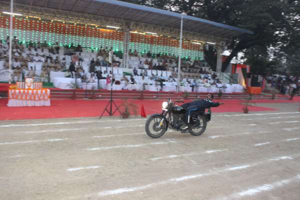 dog squad impressed everyone