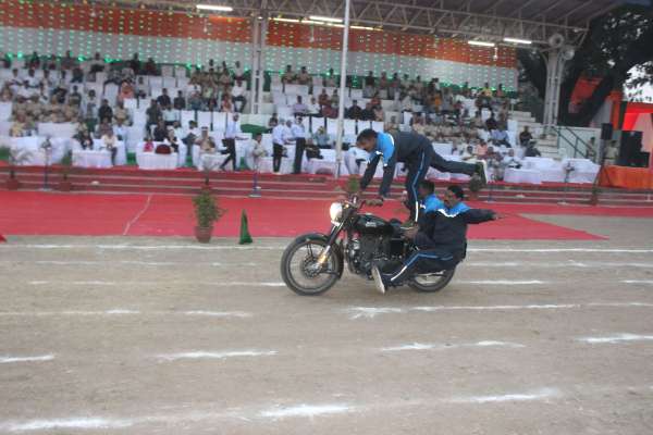 dog squad impressed everyone