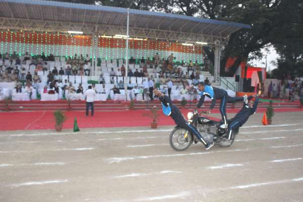 dog squad impressed everyone