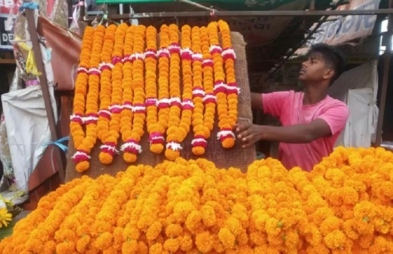 Expectation of consumption of 50 quintals of marigold on Diwali