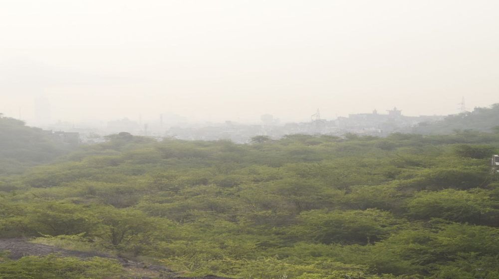Air Pollution: सुबह छाई धुंध, प्रदूषण में बढ़ोतरी