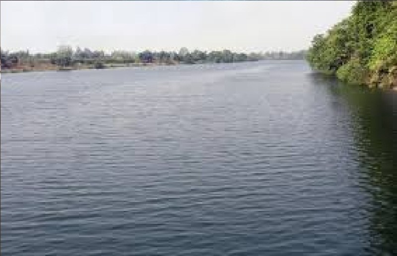 CG News: अरपा में बच्चियों की डूबकर मौत, खनिज उपसंचालक ने प्रस्तुत की जांच व कार्रवाई रिपोर्ट