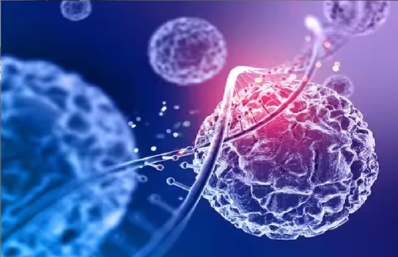 CG Health News: हर माह मिल रहे कैंसर के 40 मरीज एक्सपर्ट बोले लाइफस्टाइल जिम्मेदार