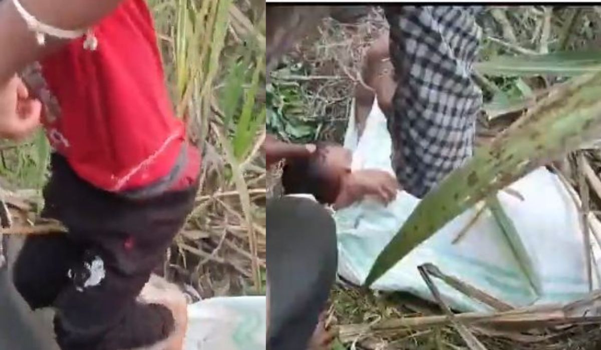 Video: बच्चे को बोरी में भरकर गन्ने के खेत में फेंका, बेचने ले जा रहे थे आरोपी; देखें रेस्क्यू का वी‌डियो