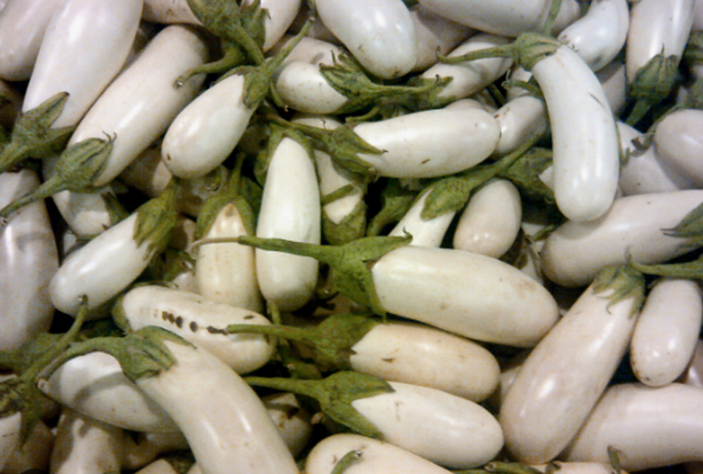 white-brinjal.jpg