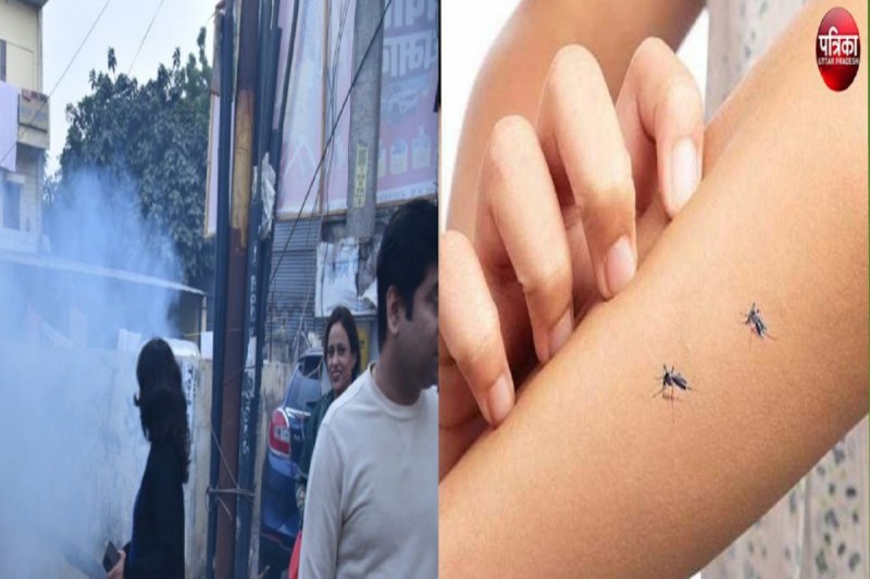 अस्पताल में भर्ती मरीजों की संख्या में कमी