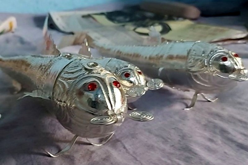 silver fish in jhansi