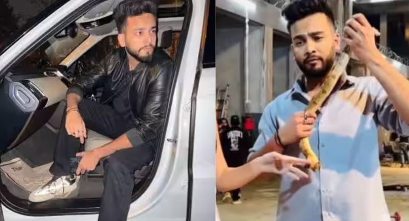 Five accused interrogated in snake smuggling and rave party case