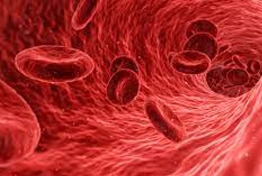 platelets-in-blood.jpg
