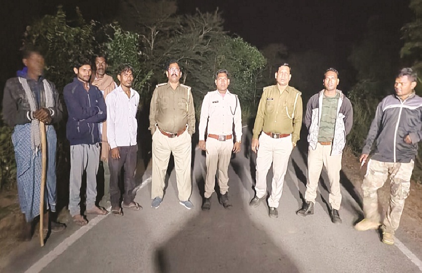 CG News: ग्रामीण ने बाघ देखने का किया दावा, वन विभाग की टीम पहुंची मौके पर