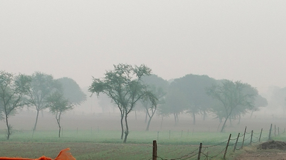 rajasthan_rain_news.jpg