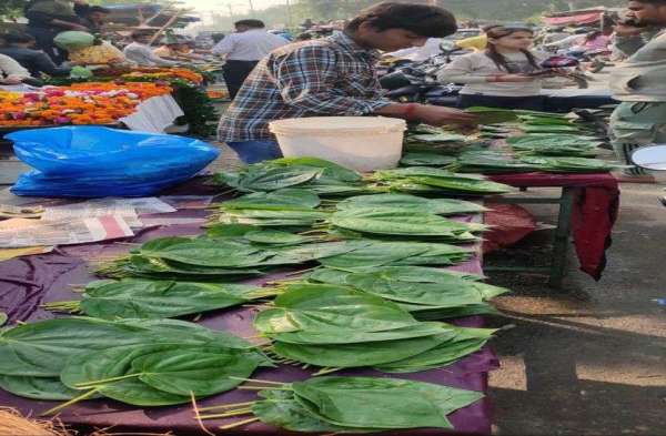 उत्साह से मनाया गया दीपो का पर्व दीपावली