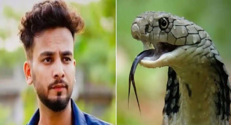 elvish yadav snake venom and snake were brought from badarpur in rave party