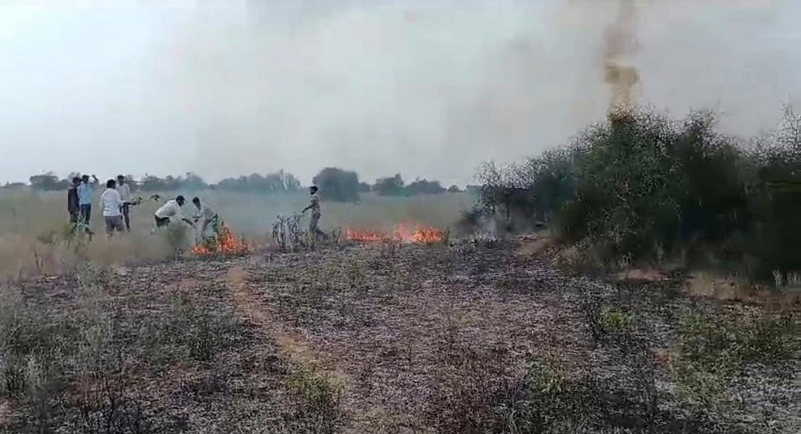 आग से 2 किलोमीटर में चारा व घास जलकर राख