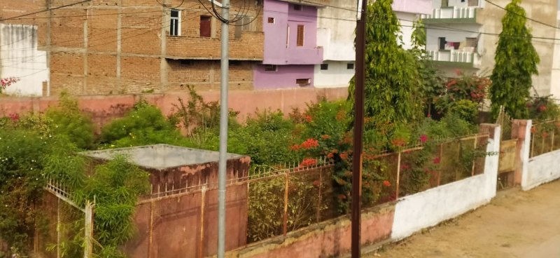 बजरंग नगर स्थित पार्क के हाल