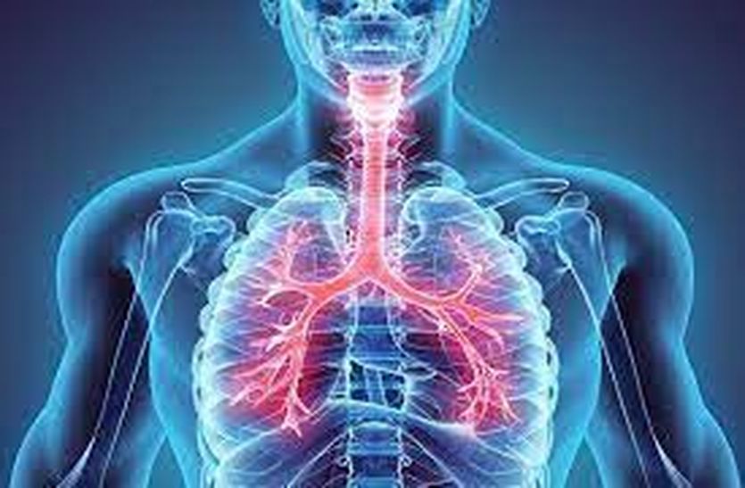 COPD Day: सीओपीडी से रुक जाता है फेफड़ों में हवा का प्रवाह