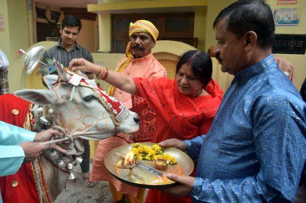 गौ माता का चॉदी आभूषण से श्रॅगार  