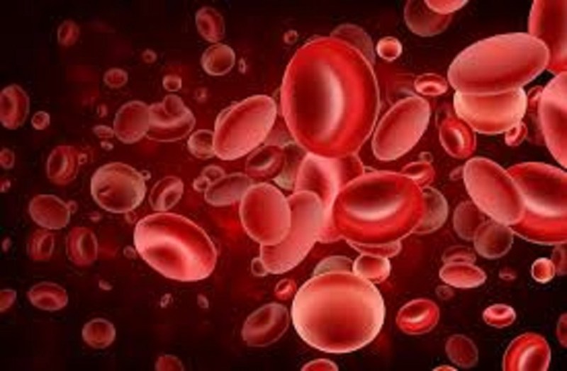 अरबपति कारोबारी का दावा, अपने सुपर ब्लड से बुजुर्ग पिता की जैविक उम्र 25 साल घटाई