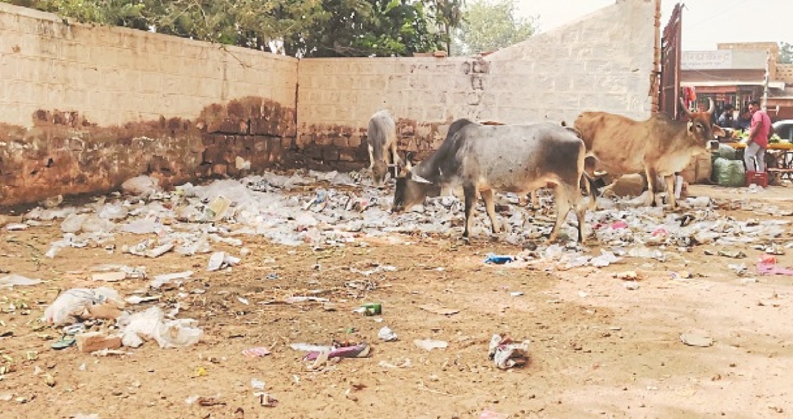 पटाखों की दुकान हटने के बाद सफाई करना भूले जिम्मेदार
