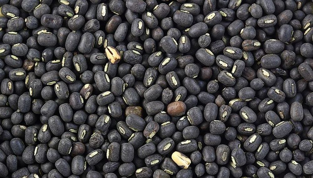 urad_mandi.jpg