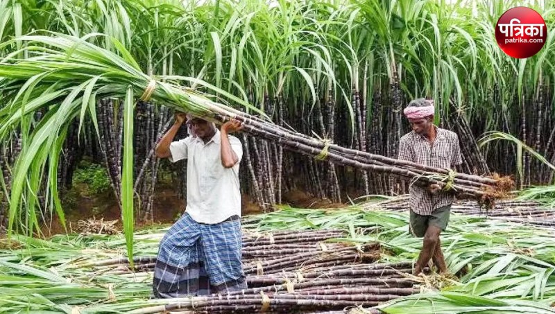 Sugarcane Price News