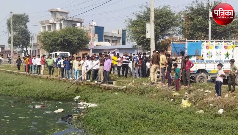 Severed Heads of Five Cattle Found