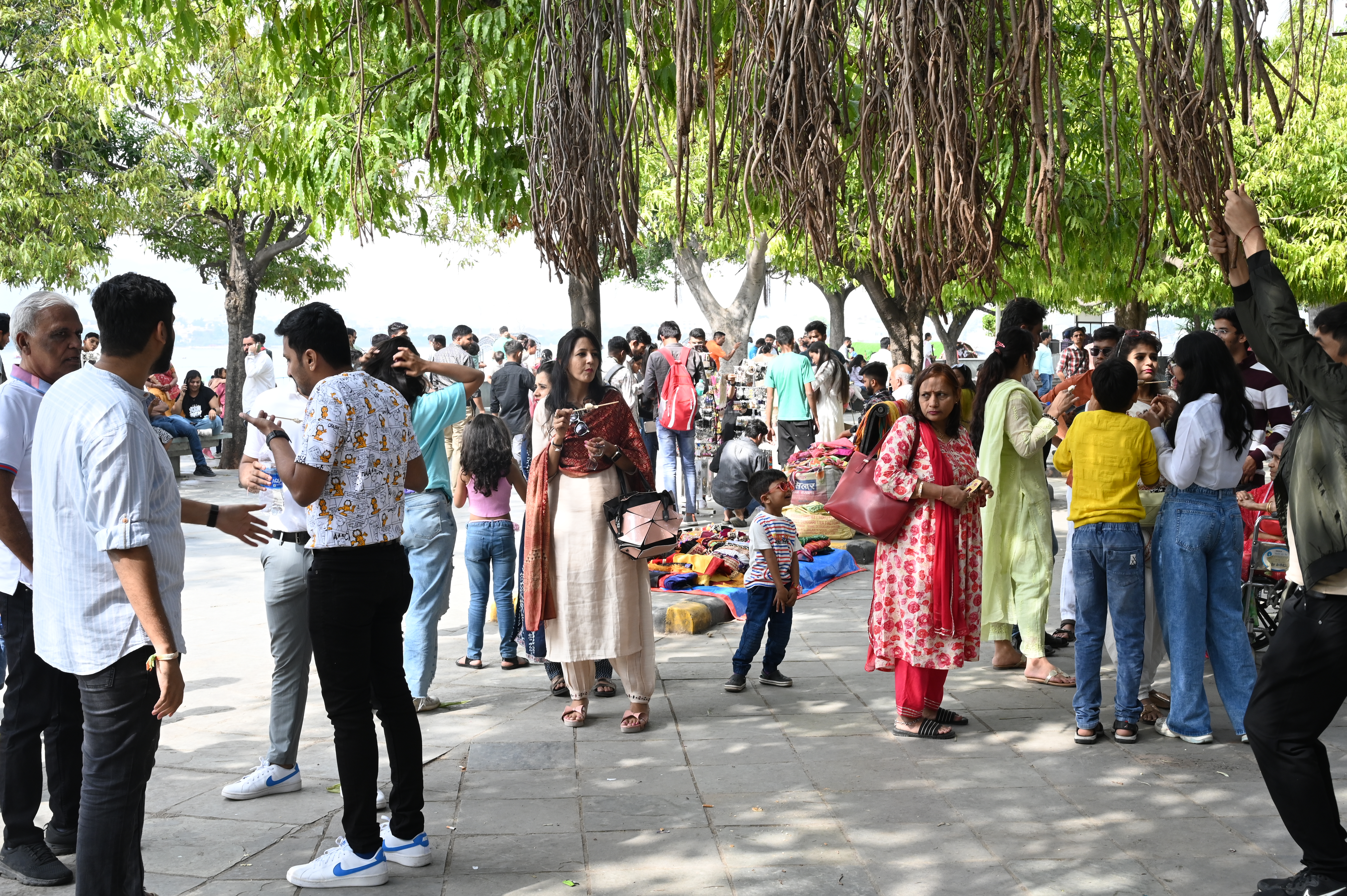 tourists_in_udaipur.jpg