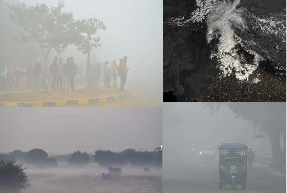 fog-in-rajasthan.jpg