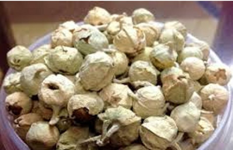 डायबिटीज को कंट्रोल करने में 'पनीर के फूल' का आयुर्वेदिक उपयोग