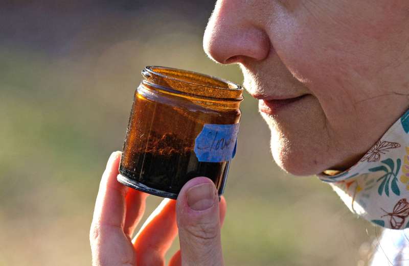 गंध और स्वाद की हानि कोविड संक्रामक रोग के शुरुआती लक्षणों में से एक थी