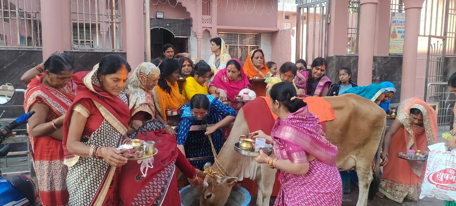 गोपाष्टमी: प्रेमाबाग में गायों को गुड़-चना, रोटी खिलाई