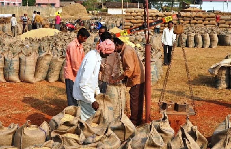 प्रदेश में धान खरीदी के साथ-साथ कस्टम मिलिंग के लिए तेजी से हो रहा उठाव, जानिए विस्तार से...